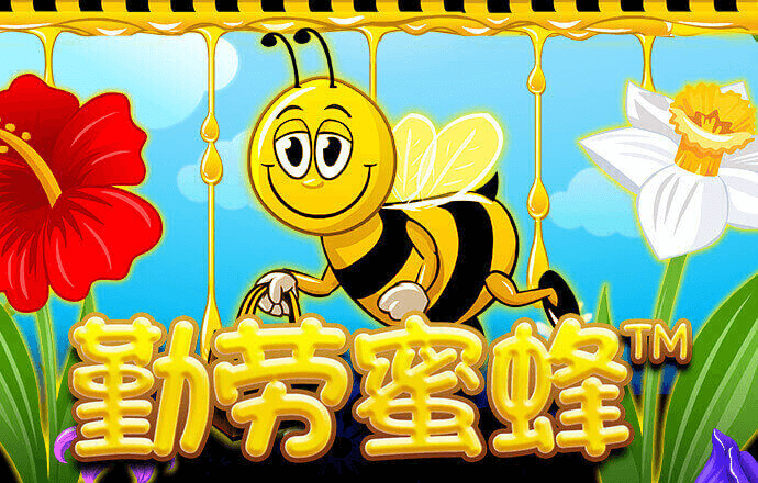 新葡萄8883官网AMG